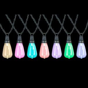 APPLights 12-Light Multi-Color Edison Bulbs Light Set-49648 300208182