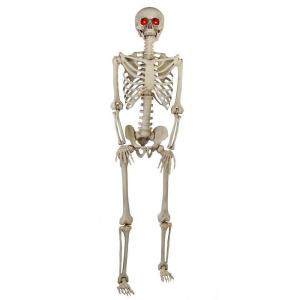 Home Accents Holiday 5 ft. Poseable Skeleton with LED Illumination-5349-60272HD 205828003