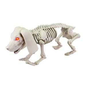Home Accents Holiday 8.46 in. Animated Skeleton Dachshund with LED Illuminated Eyes-6342-19198HD 206770902