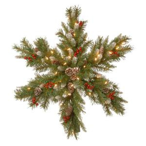 National Tree Company Frosted Berry 30 in. Artificial Snowflake with Battery Operated Warm White LED Lights-FRB3-300-32S-BC 300154626