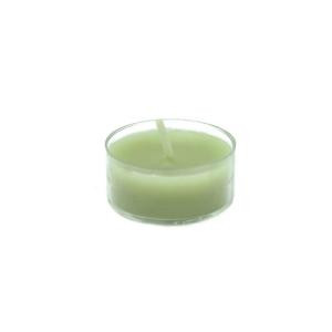 Zest Candle 1.5 in. Sage Green Tealight Candles (50-Pack)-CTZ-019 203363127