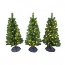 3 ft. Pre-Lit LED Colorado Spruce Artificial Pathway Trees with Warm White Lights (3-Piece)-4227012-C51HO 206771066