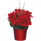 3.54 qt. Bella Upgraded Poinsettia (In-Store Only)-10028_UMB 205688902