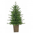 4 ft. Pre-Lit LED Potted Natural Cut Freeport Pine Artificial Christmas Tree with Micro Lights-5211--40MLWW 302452309