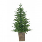 4 ft. Pre-Lit Potted LED Artificial Christmas Akron Pine Tree with Micro Lights-5212--40MLWW 302452254