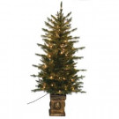 4.5 ft. Pre-Lit Balsam PE Potted Tree with Lights-15940 303072256