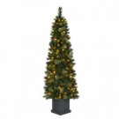 6 ft. Pre-Lit LED Alexander Pine Artificial Christmas Potted Tree x 457 Tips with 150 UL Indoor/Outdoor Lights-TV60M5311L01 206795494