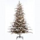 7 ft. Pre-lit Incandescent Aspen Green Fir Flocked Artificial Christmas Tree with 700 UL Clear Lights-277-APGF-75C7 303220726