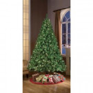 7.5 ft. Pre-Lit Stonehill Pine with 700 Clear Lights-114-AUG09-75C7 302550836