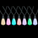 APPLights 12-Light Multi-Color Edison Bulbs Light Set-49648 300208182