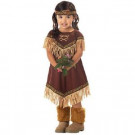 California Costume Collections Toddler Lil Indian Princess Costume-00086CC_M 205478919