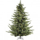 Fraser Hill Farm 9 ft. Pre-Lit LED Foxtail Pine Artificial Christmas Tree with 1250 Multi-Color String Lights-FFFX090-6GR 303115403