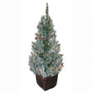 General Foam 4 ft. Pre-Lit Potted Frosted Pine Artificial Christmas Tree with Berries and Pine Cones-HD-E141C1F 203321107