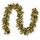 Glistening Pine 9 ft. Garland with Clear Lights-GN19-300-9A-1 300330627