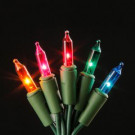 Home Accents Holiday 100-Light String to String Multi Light Set (Case of 6)-L1100090MUA1 301683629