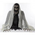 Home Accents Holiday 27 in. Wretched Reaper- Animated Fog Machine Accessory-5124195 301299346