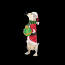 Home Accents Holiday 32 in. LED Lighted Tinsel Otter-TY750-1614-0 206963312