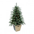 Home Accents Holiday 4 ft. Pre-Lit Balsam Artificial Christmas Porch Tree with Battery Operated Warm White LED light and Wood Pot-BRHO710008TH2 301683292
