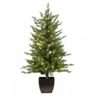Home Accents Holiday 4 ft. Pre-Lit Warm White LED Potted Artificial Christmas Tree (Set of 2)-TY017-1717 301573283