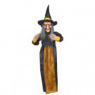 Home Accents Holiday 48 in. Hanging Witch with LED Illumination-7334-48748 301148655