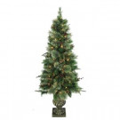 Home Accents Holiday 5 ft. Syracuse Cashmere Berry Potted Artificial Christmas Tree with 150 Clear Lights (Set of 2)-BOWOTHD171G 205983463