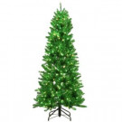 Home Accents Holiday 6 ft. Pre-Lit Shiny Green Fraser with Warm White and Green Color-Changing LED Lights-RL60168SG-RPHO1 301586756