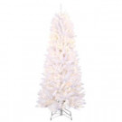 Home Accents Holiday 6 ft. Pre-Lit White Fraser with Warm White and Multi-Color-Changing LED Lights-RL60168W-RPHO1 301575269