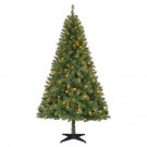 Home Accents Holiday 6.5 ft. Pre-Lit LED Greenville Spruce Artificial Christmas Tree with Warm White Lights-TG66M2V36L07 301197247