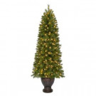 Home Accents Holiday 6.5 ft. Pre-Lit LED Wesley Spruce Artificial Christmas Potted Tree with Warm White Lights-TV66M3W89L00 301575514