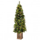 Home Accents Holiday 6.5 ft. Pre-Lit Warm White LED Potted Artificial Christmas Tree-TY015-1717 301572952