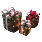 Home Accents Holiday Set of 3 Vine Presents with Lights-A0115-227 301709665