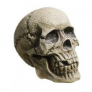 Morris Costumes Rotting Skull-MR-122235 205478975