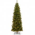 National Tree Company 10 ft. North Valley Spruce Pencil Slim Tree with Clear Lights-NRV7-358-100 302558711