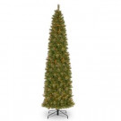 National Tree Company 12 ft. Tacoma Pine Pencil Slim Tree with Clear Lights-TAP7-311-120 302558574