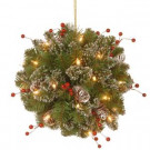 National Tree Company 12 in. Glittery Mountain Spruce Kissing Ball with Battery Operated Warm White LED Lights-GLM1-300-12KBC1 300487247