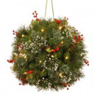 National Tree Company 12 in. Wintry Pine Kissing Ball-WP3-821-12 303231261