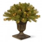 National Tree Company 1.5 ft. Downswept Douglas Fir Porch Artificial Bush with Clear Lights-PEDD1-310-18P 300120631