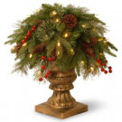National Tree Company 2 ft. Colonial Porch Artificial Bush with Clear Lights-PECO1-300-24P 300120642