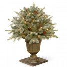 National Tree Company 2 ft. Frosted Arctic Spruce Porch Artificial Bush with Clear Lights-PEFA1-307-24P 300120636
