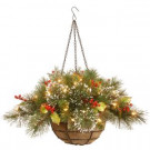 National Tree Company 20 in. Wintry Pine Hanging Basket with Battery Operated Warm White LED Lights-WP1-388-20HB-1 300487285