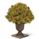 National Tree Company 2.2 ft. Glittery Gold Pine Porch Artificial Bush with Clear Lights-GPG3-300-26P 300120623