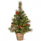 National Tree Company 24 in. Crestwood Spruce Tree with Clear Lights-CW7-306-20 300478233