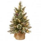 National Tree Company 24 in. Glittery Bristle Pine Tree with Battery Operated Warm White LED Lights-GB3-392-20-B1 300478209
