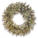 National Tree Company 24 in. Glittery Bristle Pine Wreath with Infinity(TM) Lights-GB1-359Y-24W-1 303200889