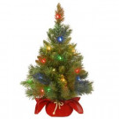 National Tree Company 24 in. Majestic Fir Tree with Battery Operated Multicolor LED Lights-MJ3-24BGRLO-B1 300478199