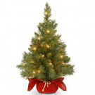 National Tree Company 24 in. Majestic Fir Tree with Battery Operated Warm White LED Lights-MJ3-24BGLO-B1 300478205