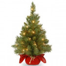 National Tree Company 24 in. Majestic Fir Tree with Clear Lights-MJ3-24BGLO-1 300478204