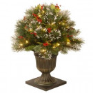 National Tree Company 24 in. Wintry Pine Porch Bush with Clear Lights-WP1-300-24P 300120615