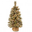 National Tree Company 3 ft. Glittery Bristle Pine Tree with Battery Operated Warm White LED Lights-GB3-392-30-B1 300478214
