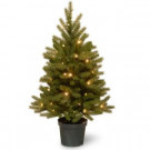 National Tree Company 3 ft. Jersey Fraser Fir Artificial Christmas Tree with Battery Operated Warm White LED Lights-PEJF1-306-30-B 300120654